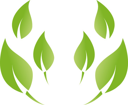 Many leaves, wellness, natureのイラスト素材