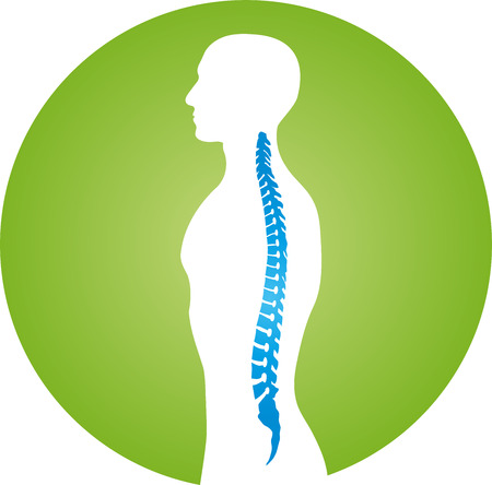Person and spine, orthopedics, physiotherapy vectorのイラスト素材