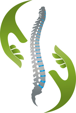 Two hands and spine, orthopedics, physiotherapy vectorのイラスト素材