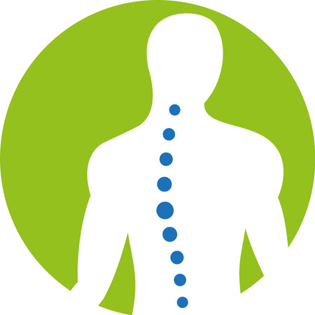 Human body silhouette with ribs and spine on white background. Vector illustration.のイラスト素材