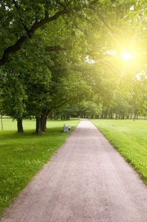 walking road in summer parkの写真素材