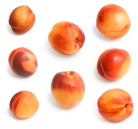 Storyboard of beautiful juicy nectarines on the isolated backgroundの写真素材