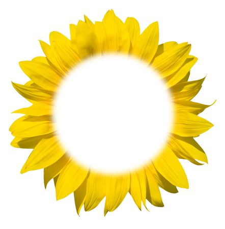 isolated sunflower frame for your textの写真素材