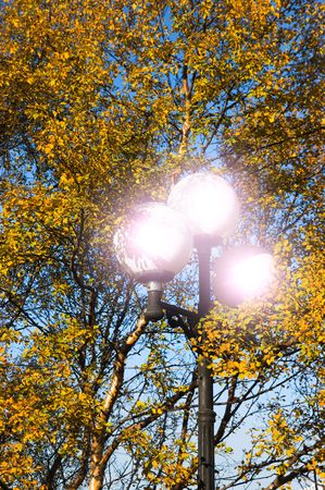Street lantern in park of rest in the afternoonの写真素材