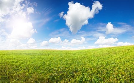 Green field under midday sun. Rural Scene.の写真素材