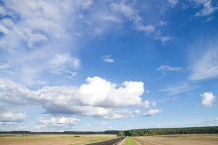 Asphalt road in green meadow. Belarus.の写真素材