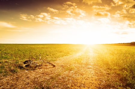 Gloomy dawn on rural road in field. Bicycle.の写真素材