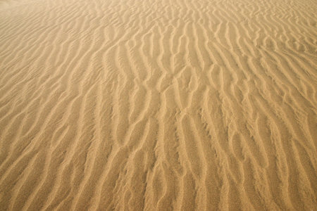 Gold desert into the sunset  Sand texture 