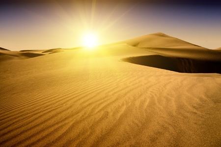 Gold desert into the sunset  Canary Islands, Canaries  Grand Canary  Maspalomas, Resort Town の写真素材