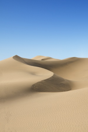 Gold desert at sea beach  Sunny day  Canary Islands, Canaries  Grand Canary  Maspalomas, Resort Town の写真素材