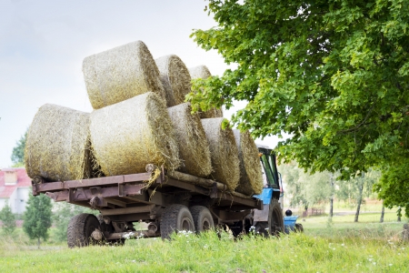 Farmers harvesting hay by tractores in unny day.の写真素材