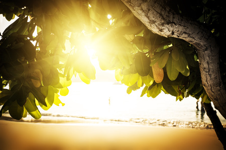 Sunset beach on Saychelles island. Mahe.の写真素材