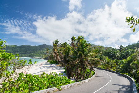 Coral sandy beach among the palm trees along the road. Seychelles. Sunny day.の写真素材