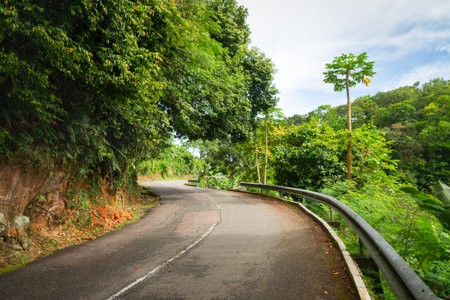 Beautiful asphalt road in palm jungle. Sunset on Seychelles.の写真素材