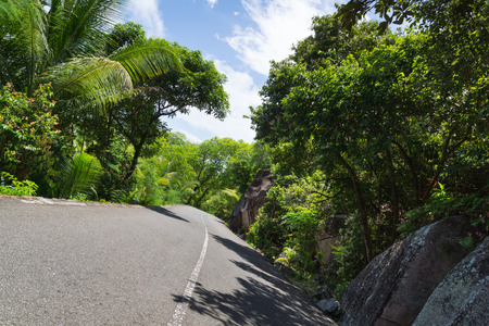 Seychelles. The road to palm jungle. Tropical Paradise.の写真素材