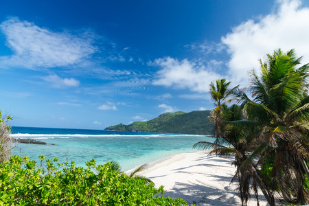 Palm trees in the light of the dying sun on the beach. The Seychelles. White coral beach and turquoise sea.の写真素材