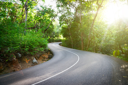 Beautiful asphalt road in palm jungle. Sunset on Seychelles.の写真素材