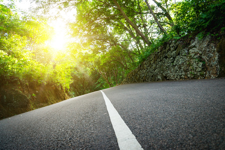 Seychelles. The road to palm jungle. Tropical Paradise.の写真素材