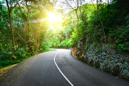 Beautiful asphalt road in palm jungle. Sunset on Seychelles.の写真素材