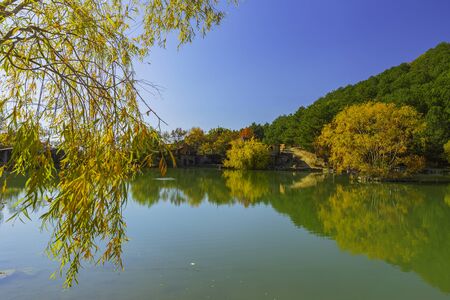mountain lake surrounded by treesの写真素材