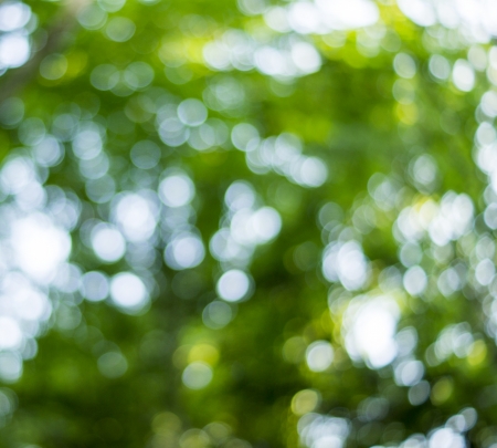 Beautiful Nature Bokeh.Blurred backgroundの写真素材