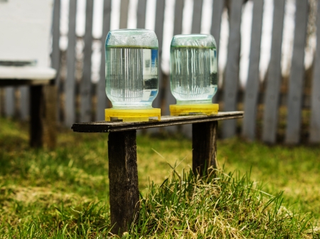 drinking bowl for beesの写真素材