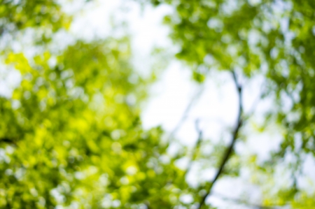 Beautiful Nature Bokeh.Blurred backgroundの写真素材