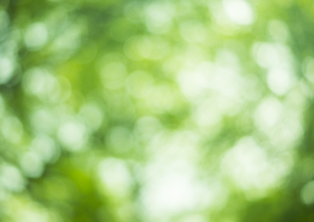 Beautiful Nature Bokeh.Blurred backgroundの写真素材