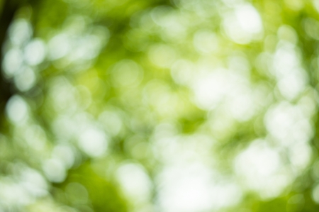 Beautiful Nature Bokeh.Blurred backgroundの写真素材