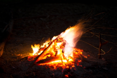 Flames of a campfire in the nightの写真素材