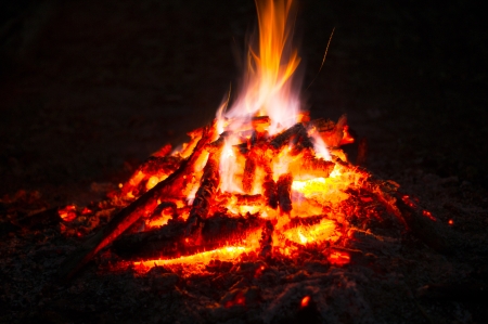 Flames of a campfire in the nightの写真素材