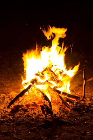 Flames of a campfire in the nightの写真素材