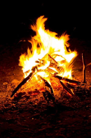 Flames of a campfire in the nightの写真素材