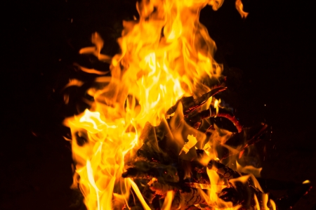 Flames of a campfire in the nightの写真素材