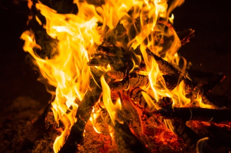 Flames of a campfire in the nightの写真素材
