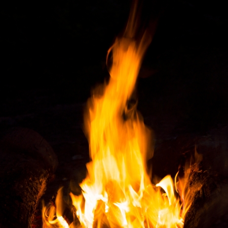 Flames of a campfire in the nightの写真素材