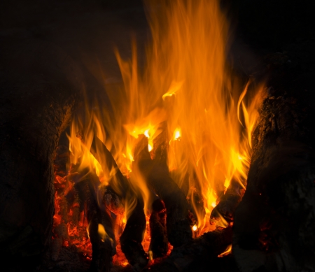 Flames of a campfire in the nightの写真素材