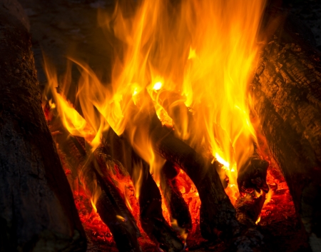 Flames of a campfire in the nightの写真素材