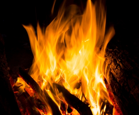 Flames of a campfire in the nightの写真素材
