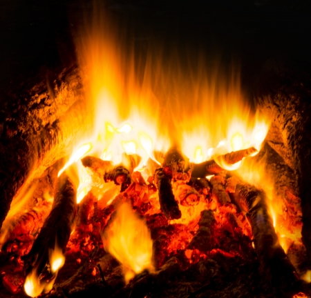 Flames of a campfire in the nightの写真素材