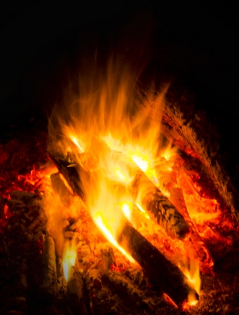 Flames of a campfire in the nightの写真素材