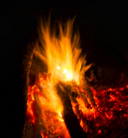 Flames of a campfire in the nightの写真素材