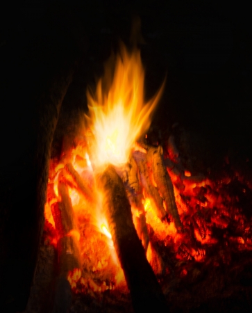 Flames of a campfire in the nightの写真素材