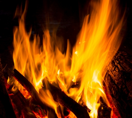 Flames of a campfire in the nightの写真素材