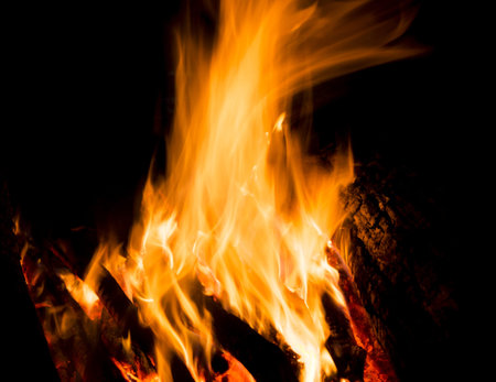 Flames of a campfire in the night