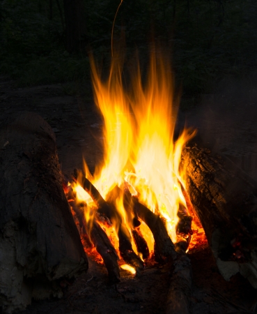 Flames of a campfire in the nightの写真素材