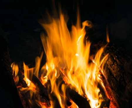 Flames of a campfire in the nightの写真素材