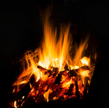 Flames of a campfire in the nightの写真素材