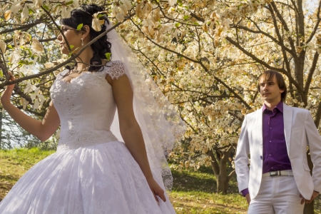 groom and bride in white dress on a background of flowering treesの写真素材