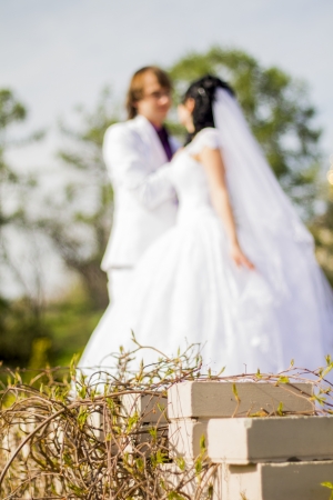 climbing plants in focus and couple in the backgroundの写真素材